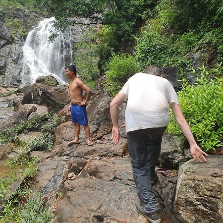 Bee Bee'S Chalets Home Stay And Trekking バンラング エクステリア 写真