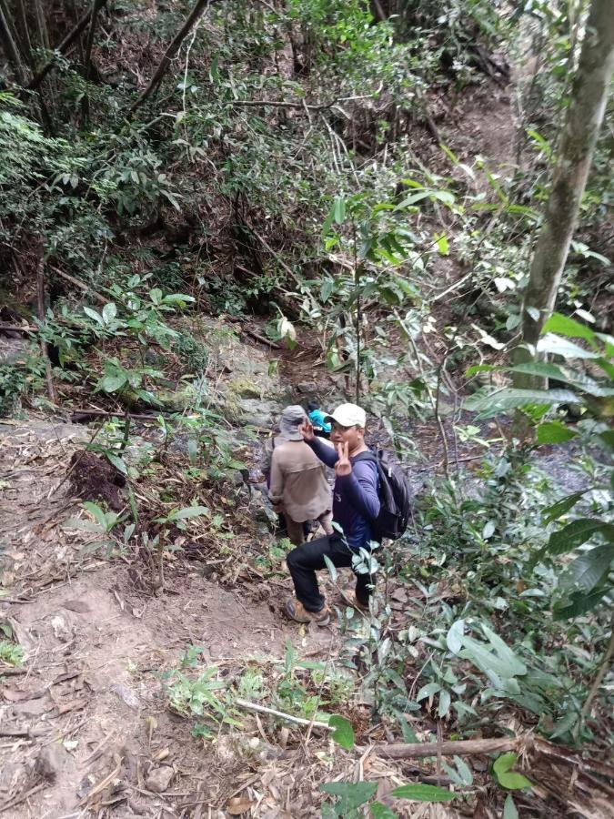 Bee Bee'S Chalets Home Stay And Trekking バンラング エクステリア 写真